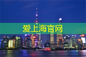 上海适合开车夜游的地方