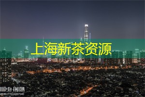 上海新茶工作室：一个结合传统与现代的新茶时尚圣地！