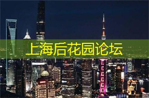 为一棵树建一座公园？来这个展了解上海古树名木保护的故事